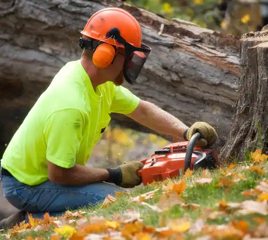 tree services Coleman